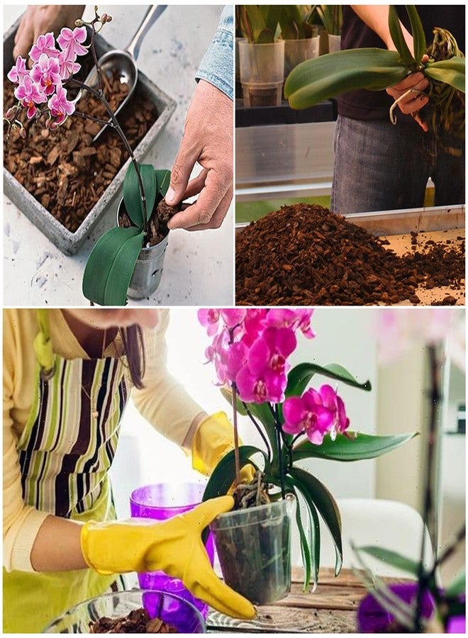 Doter Orchid Potting Mix Orchid Bark, Mix Pine Bark and Perlite, Good Drainage and Water Retention (2 Quart) - Image 5